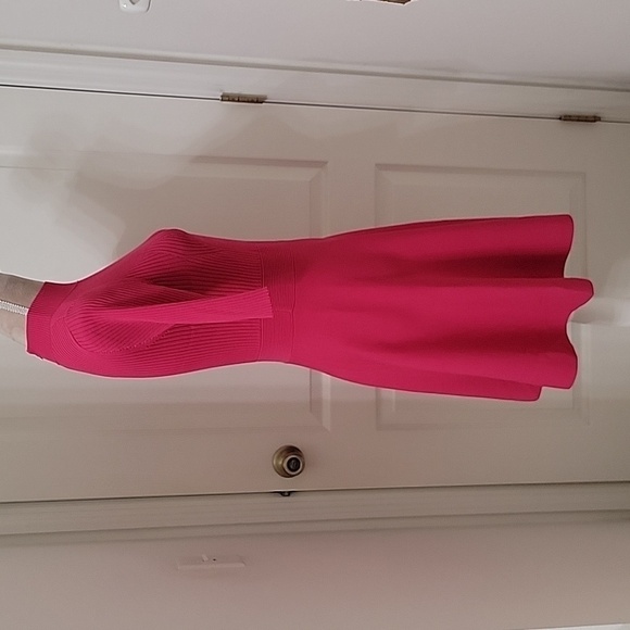 Ted Baker, Size 3 (US 8-10) Viviiyy Engineered Skater Dress,  Hot Pink,  EUC - Picture 6 of 16